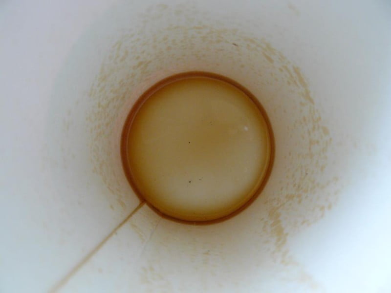 Alejandro Campos columnista LAAAO. Cuento Corto