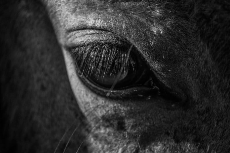 Fotografía natural4 Laaao